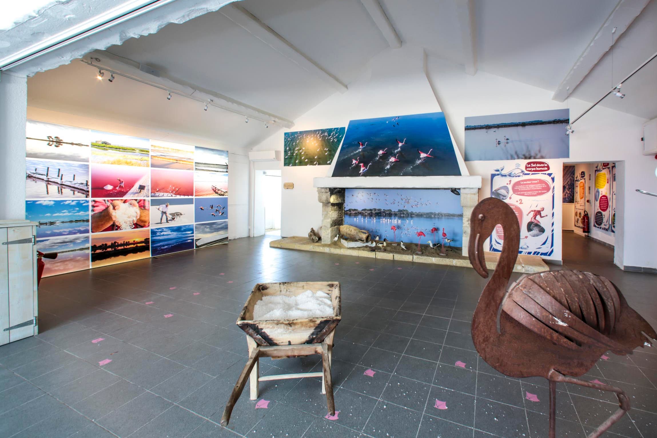 Habillage musée Salins du Midi - Vue 3